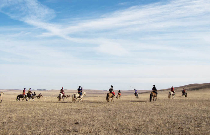 Horse - Tour mongolia