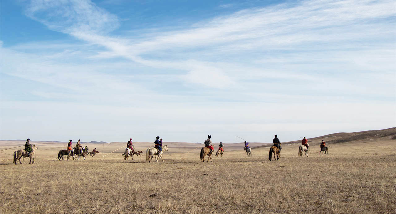 Horse - Tour mongolia