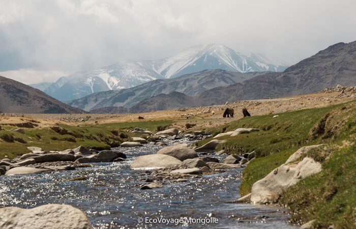 Altai tavan bogd national park