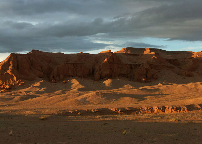 Roy Chapman Andrews - flaming cliffs